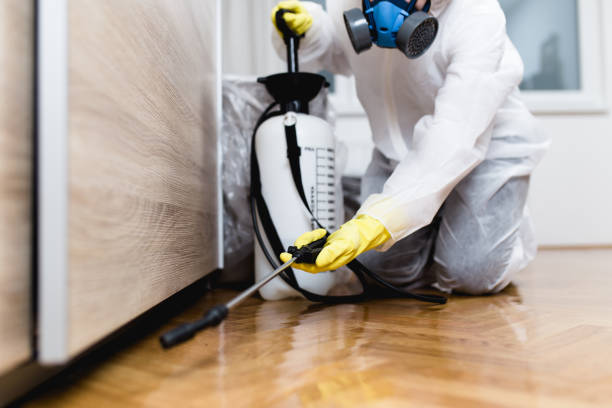 Best Pest Prevention Services  in Seaside Park, NJ