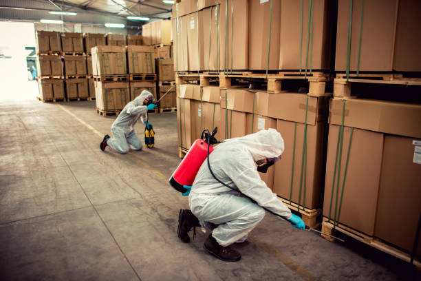 Best Mosquito Control Services  in Seaside Park, NJ
