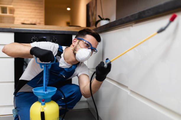 Best Emergency Pest Control  in Seaside Park, NJ