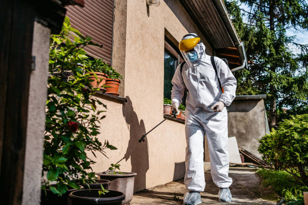 Best Wasp Removal Services  in Seaside Park, NJ