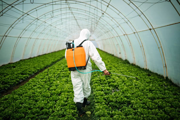 Best Pest Removal Services  in Seaside Park, NJ