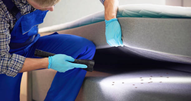 Best Residential Pest Control  in Seaside Park, NJ