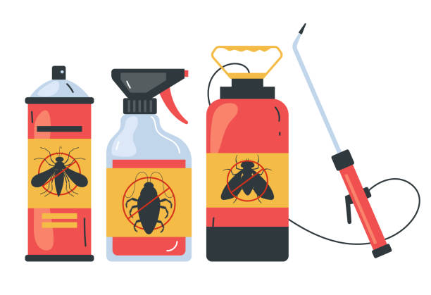 Best Termite Control Services  in Seaside Park, NJ