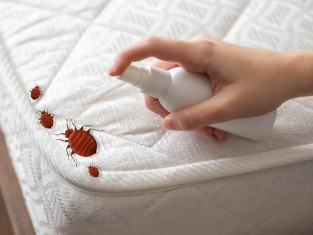 Best Commercial Pest Control Services  in Seaside Park, NJ